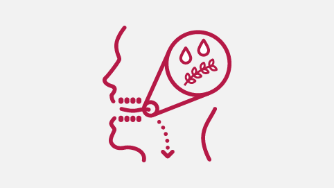 Kellogg’s Fibre and Digestion Process - Mouth Infographic