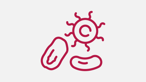 Kellogg’s Bacteria and Human Cells Infographic
