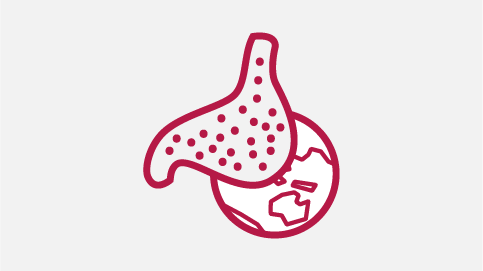 Kellogg’s Gut and Bacteria Facts Infographic