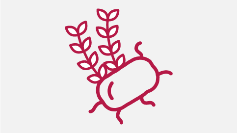 Kellogg’s Good Bacteria Infographic