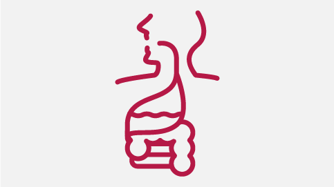 Kellogg’s Digestive System Infographic