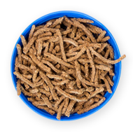 Categories Breakfast